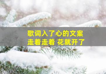 歌词入了心的文案 走着走着 花就开了